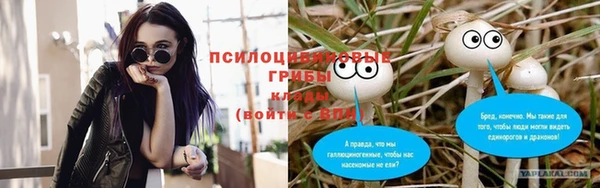 эйфоретик Алексин