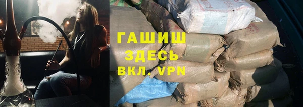 индика Алзамай