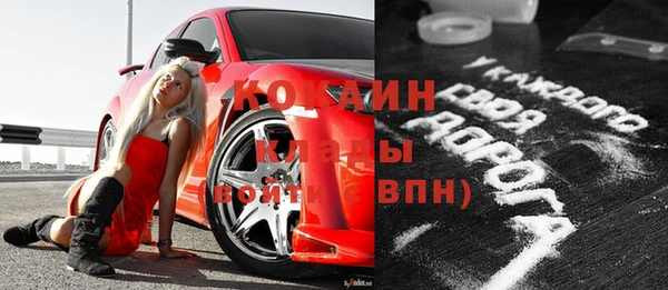 индика Алзамай