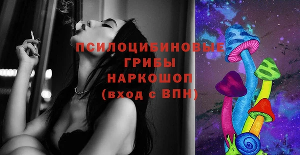 эйфоретик Алексин
