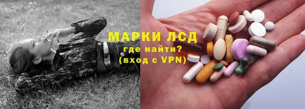 индика Алзамай